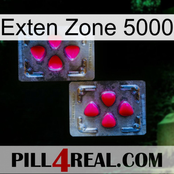 Exten Zone 5000 15.jpg